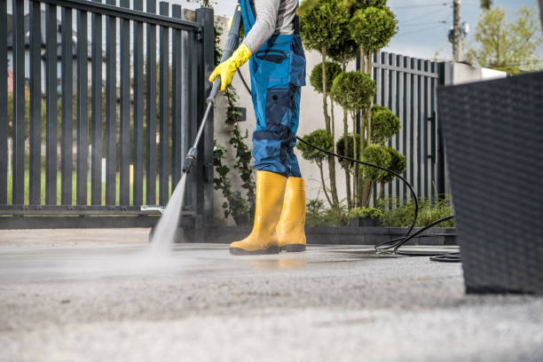 Olympia, SC Pressure Washing Services Company